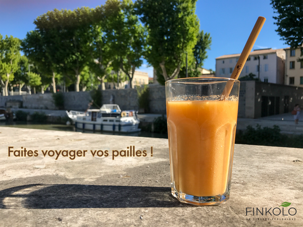 Pailles en Bambou | Set de 12